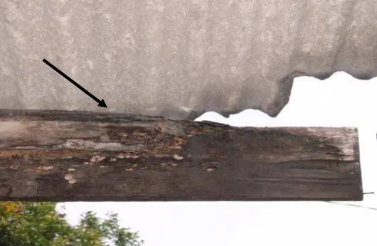 Gambar 5 Contoh kerusakan komponen lisplang akibat jamur pelapuk. 