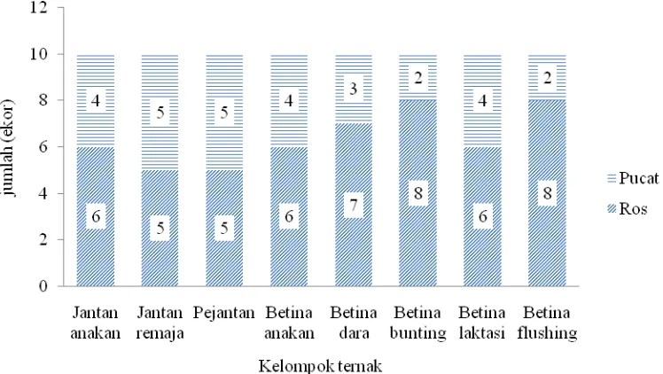 Gambar 2  Grafik rasio warna mukosa mulut pada setiap kelompok ternak di  