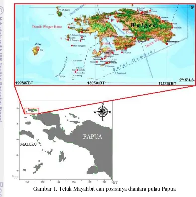 Gambar 1. Teluk Mayalibit dan posisinya diantara pulau Papua 