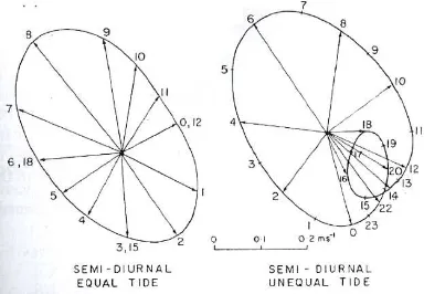 Gambar 7. Contoh Hodograph arus pasang surut (Pond dan Pickard 1983) 