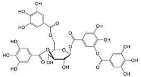 Gambar 3. Struktur Molekul Tanin (Zakir et al., 2014) 
