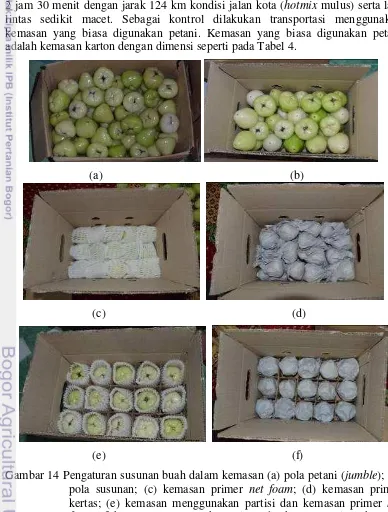 Gambar 14 Pengaturan susunan buah dalam kemasan (a) pola petani (jumble); (b) 
