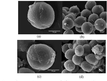 Gambar 3 Morfologi polen hasil SEM : (a) A. dolichocarpa tunggal (b) kumpulan polen A