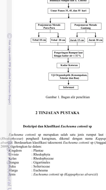 Gambar 1. Bagan alir penelitian 