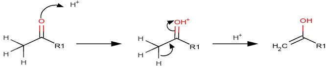 Gambar 2. Struktur pembentukan Enol. Katalis asam akan memprotonasi gugus karbonil pada atom oksigen yang diikuti oleh pelepasan proton dari karbon α membentuk enol