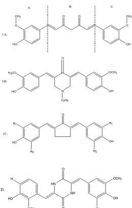 Gambar 1A. Senyawa kurkumin, sebagai senyawa penuntun di bagi menjadi tiga gugus farmakofor A, B dan C (Robinson et al., 2003), 1B