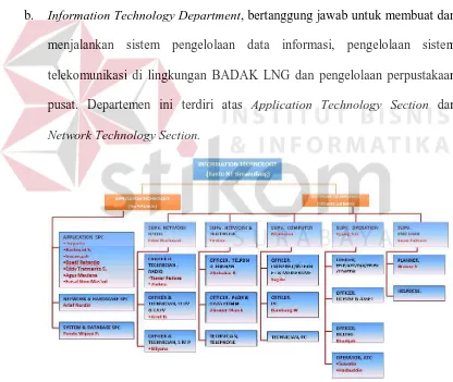 Gambar 2.14. Struktur Organisasi Information Technology Department 