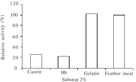 Fig 9  Substrate specificity on various substrates (Casein,Hemoglobin, gelatin, and chicken feather).