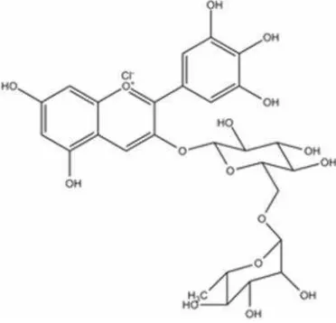 Gambar 3. Bentuk-bentuk struktur antosianidin (Brouillard, 1982)