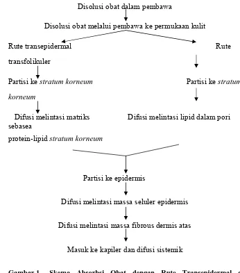 Gambar 1. Skema Absorbsi Obat dengan Rute Transepidermal dan Transfolikuler (Lachman et al., 1986) 