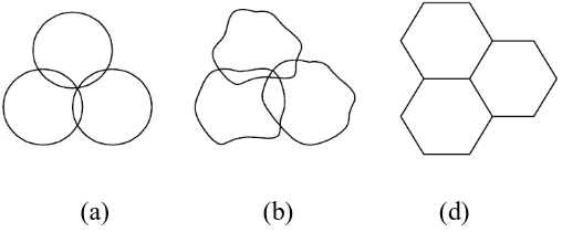 Gambar 2.2 Pola Sel (a) Sel Ideal, (b) Sel Real, (c) Sel Model 