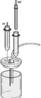 Gambar 1. Sel Voltammetri, W: Elektroda kerja, R : Elektroda pembanding, A : 