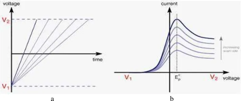 Gambar 3. Peningkatan linear potensial vs waktu (Andrienko, 2008). 
