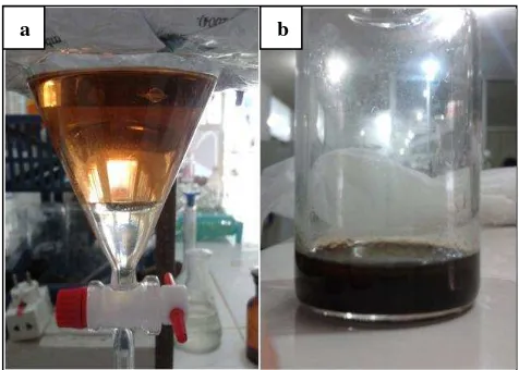 Gambar 8. Produk hasil transesterifikasi dengan katalis NaOH, (a) sebelum dipisahkan dari metanol, (b) setelah metanol diuapkan