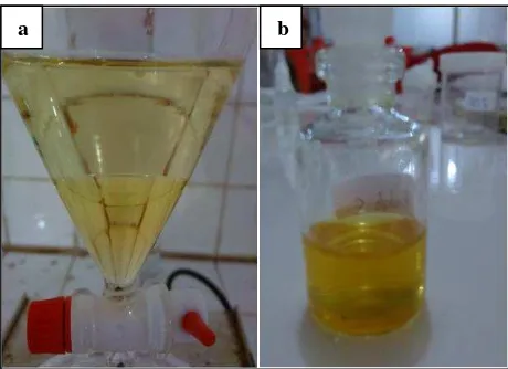 Gambar 9. Produk hasil transesterifikasi dengan katalis HNO3, (a) sebelum dipishkan dari metanol, (b) setelah metanol diuapkan