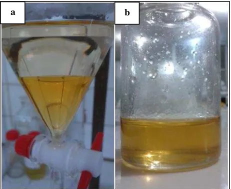 Tabel 4. Produk hasil transesterifikasi dengan metode reactive extraction. 