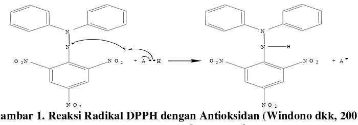 Gambar 1. Reaksi Radikal DPPH dengan Antioksidan (Windono dkk, 2001) 