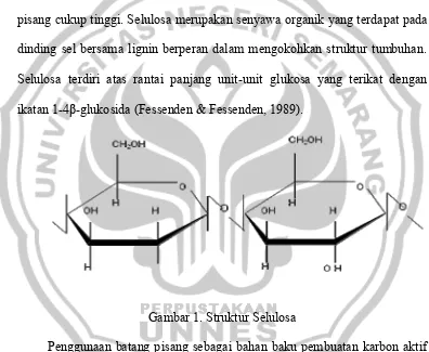 Gambar 1. Struktur Selulosa 