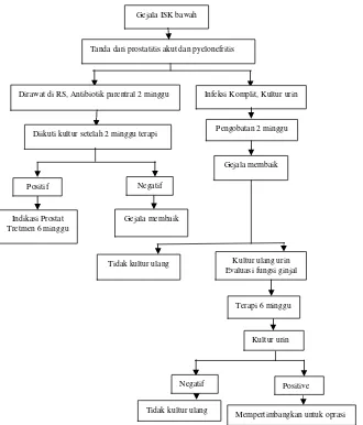 Gambar 1. Algoritma terapi infeksi saluran kemih pada laki-laki  