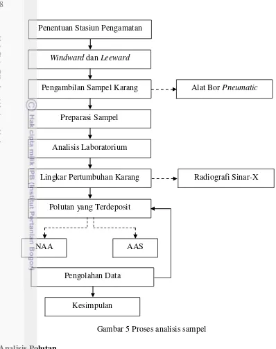 Gambar 5 Proses analisis sampel 