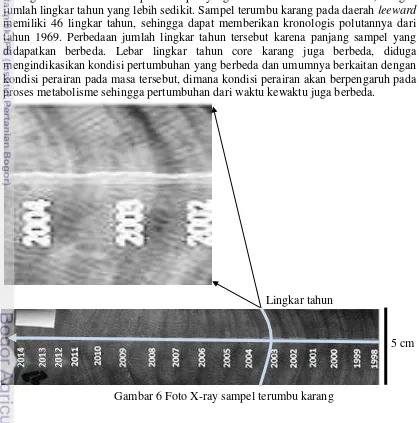 Gambar 6 Foto X-ray sampel terumbu karang 