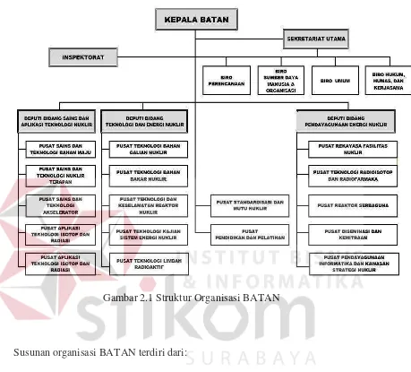 Gambar 2.1 Struktur Organisasi BATAN 