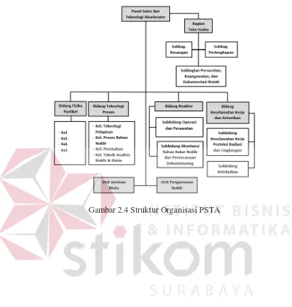 Gambar 2.4 Struktur Organisasi PSTA 