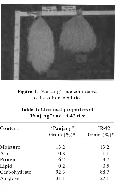 Figure 1: “Panjang” rice compared