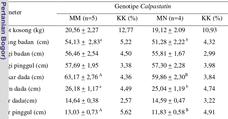 Tabel 5. Morfometri utama domba ekor tipis dengan genotipe calpastatin yang 