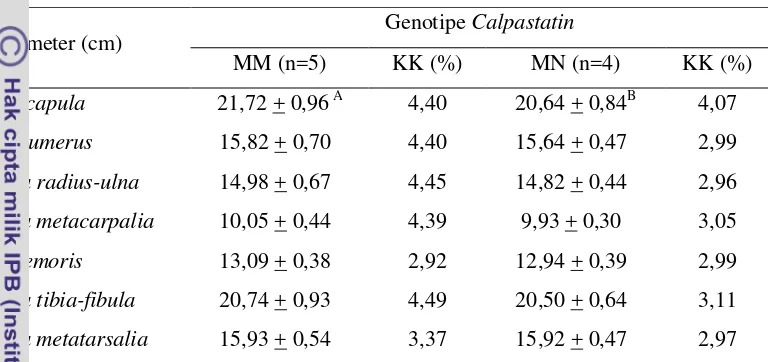 Tabel 7. Morfometri bagian kaki depan dan belakang domba ekor tipis dengan genotipe calpastatin yang berbeda
