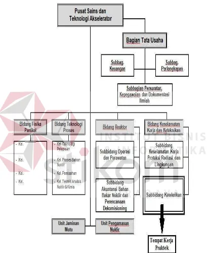 Gambar 2.2 Struktur Organisasi PSTA  
