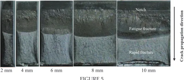 FIGURE 5Overview of fracture surface for sample 2 mm, 4 mm, 6 mm, 8 mm and 10 mm. 