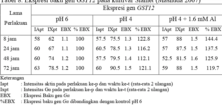 Tabel 8. Ekspresi baku gen GST12 pada kultivar Slamet (Mashuda 2007) Ekspresi gen GST12  