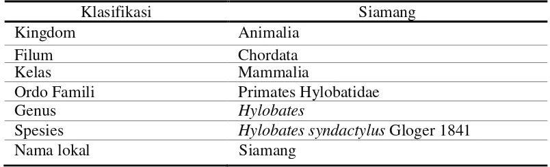 Tabel 1.  Klasifikasi Hylobates syndactylus (Napier dan Napier, 1985). 