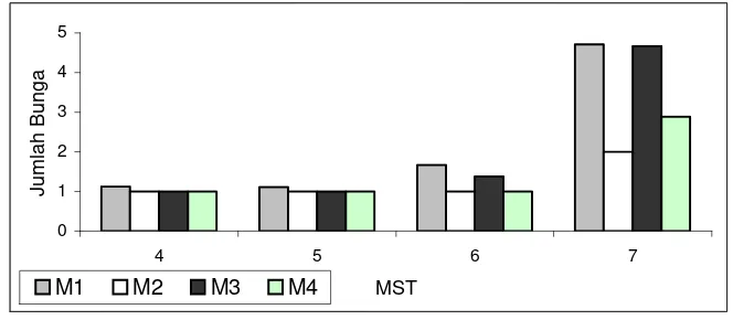 Gambar 14. Persentase Jumlah Bunga pada Perlakuan Media Tanam. M1 = Serbuk sabut kelapa: Tanah: Kompos (3:2:1), M2 = Serbuk gergaji: Tanah: Kompos (3:2:1), M3 = Arang sekam: Tanah: Kompos (1:2:1), M4 = Pasir: Tanah: Kompos (2:2:1)