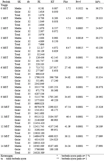 Tabel Lampiran 1. Rekapitulasi Sidik Ragam Pengaruh Media terhadap Tinggi Tanaman Helicrhysum bracteatum