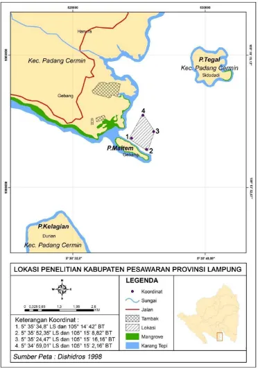 Gambar 3. Lokasi Stasiun penelitian di perairan Pulau Maitam 