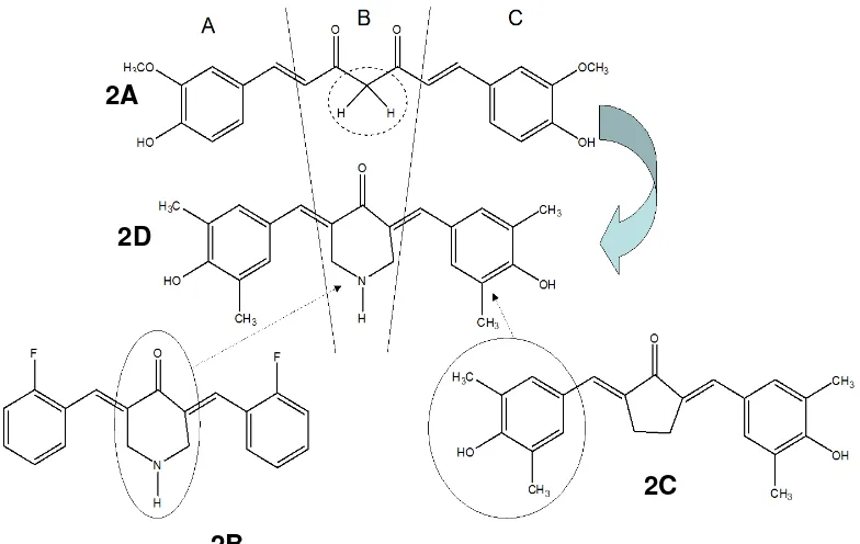 Gambar 2. Modifikasi senyawa kurkumin (gambar 2A) menjadi analognya (3,5-bis-(41-hidroksi-31,51-dimetilbenzilidin)-piperidin-4-on (gambar 2D)