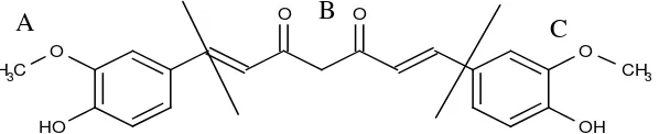 Gambar 1 .  Pembagian Farmakofor Struktur kurkumin 1,7-bis-(41-hidroksi-31metoksifenil)-1,6-heptadiena-31,51-dion (Robinson et