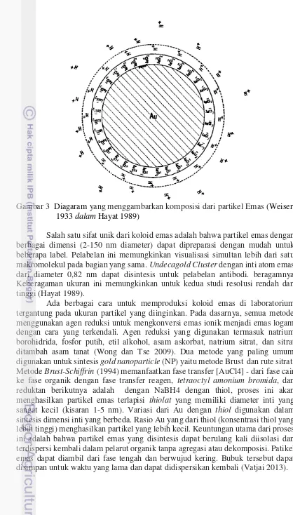 Gambar 3  Diagaram yang menggambarkan komposisi dari partikel Emas (Weiser 