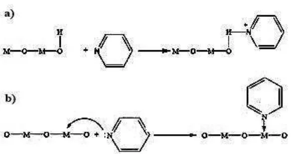 Gambar 6. Reaksi basa piridin (a) Situs asam                    asam  Lewis Brӧnsted-Lowry (b) Situs   