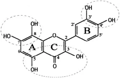 Gambar 2.Struktur Flavonoid dengan aktivitas antiradikal yang tinggi (Amic et al., 2003) 
