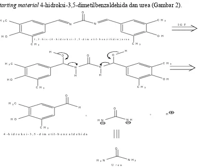 Gambar 2. Analisis diskoneksi senyawa 1,3-bis-(4-hidroksi-3,5-dimetil-benzilidin)urea, diawali dengan interkonversi gugus fungsional (retro-iminasi) menjadi senyawa  dengan gugus hidroksi, diikuti dengan diskoneksi lanjut menghasilkan material pemula turun