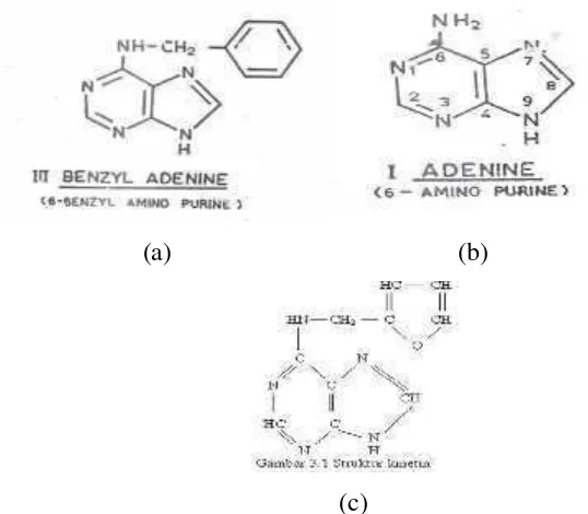 Gambar 1. Susunan kimia sitokinin alami: a. isopentenyladenosine (IPA), b.Zeatin