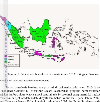 Gambar 1  Peta situasi bruselosis Indonesia tahun 2013 di tingkat Provinsi 