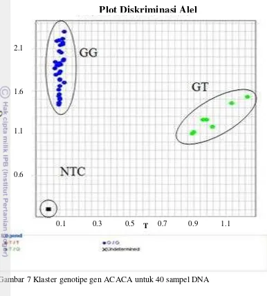 Gambar 7 Klaster genotipe gen ACACA untuk 40 sampel DNA  