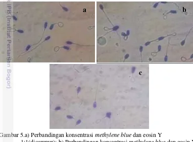 Gambar 5.a) Perbandingan konsentrasi methylene blue dan eosin Y 