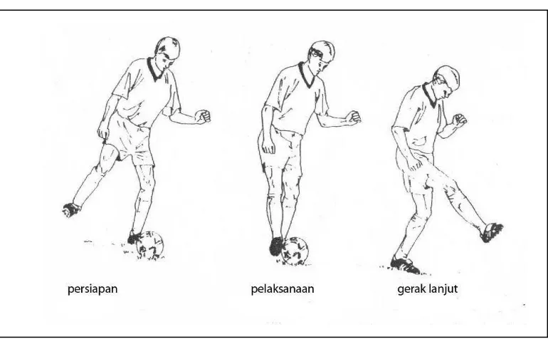 Gambar 2.1 Tendangan menggunakan kaki bagian dalam ( Sukatamsi, 1984:52) 