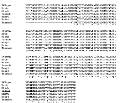 Figure 4. Nucleotides sequences of PW8 xylanase and the deduced amino acid (GenBank Acc