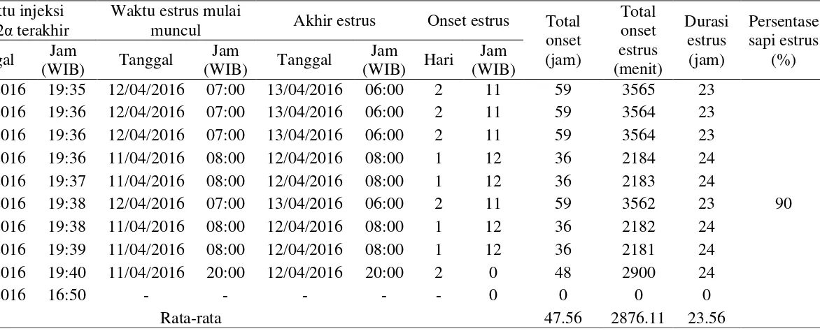 Tabel 11 Onset dan durasi estrus sapi pada kelompok injeksi ganda 